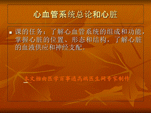 心血管系统解剖学课件02课件.ppt