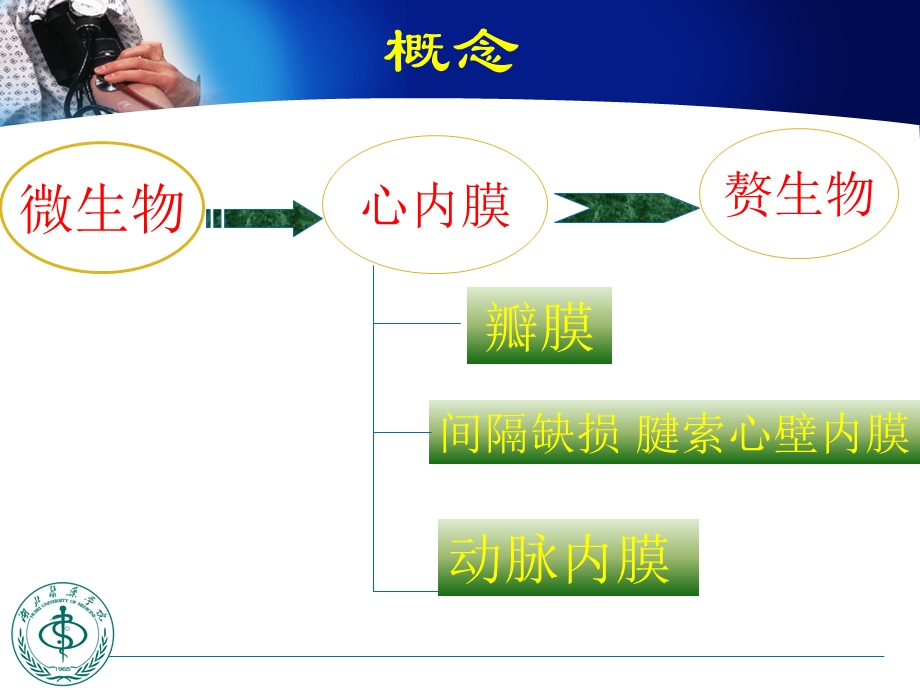 感染性心内膜炎(新)课件.ppt_第2页