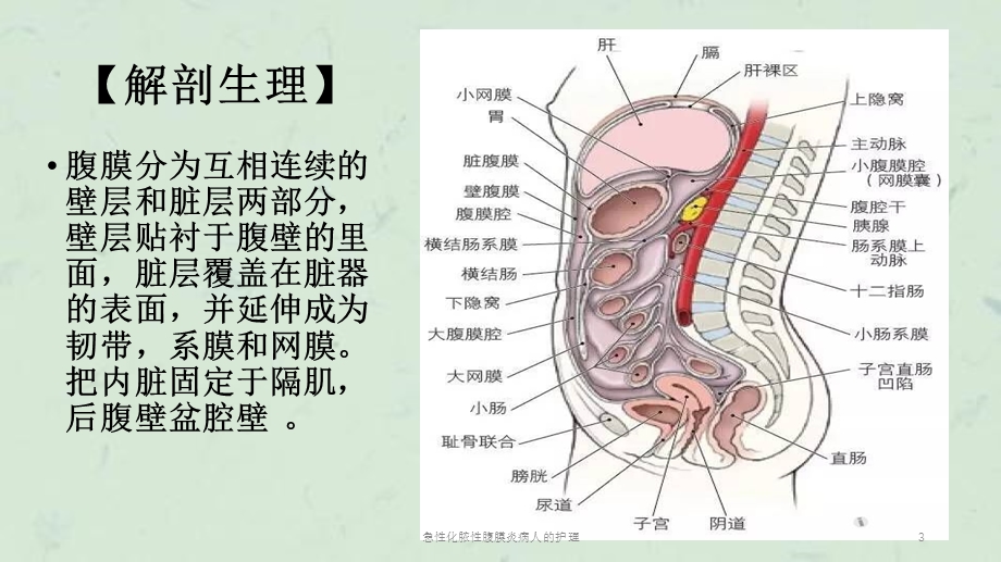 急性化脓性腹膜炎病人的护理课件.ppt_第3页