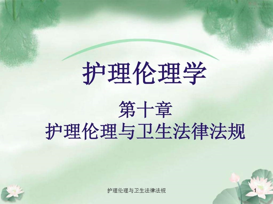 护理伦理与卫生法律法规课件.ppt_第1页