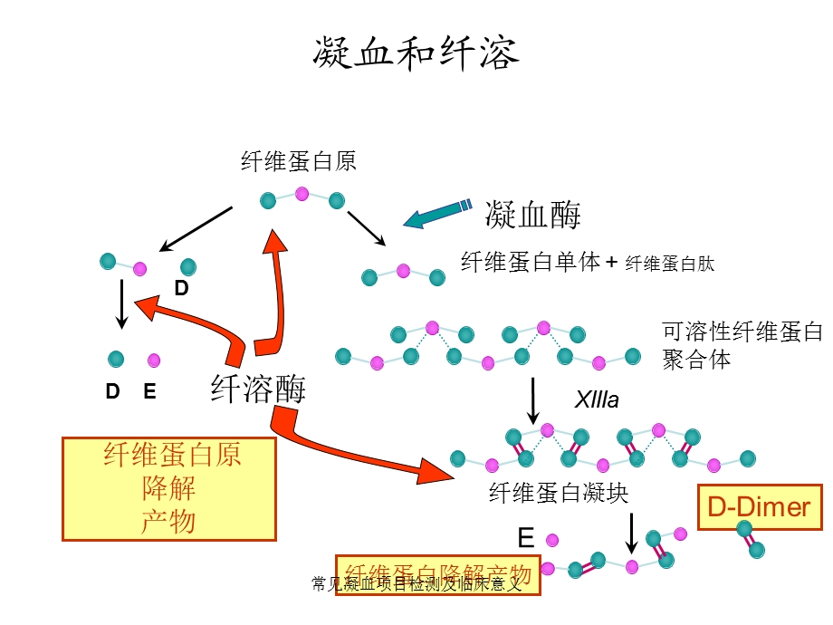 常见凝血项目检测及临床意义课件.ppt_第3页