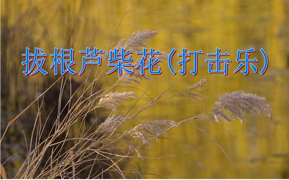 大班音乐课件《拔根芦柴花(打击乐)》.ppt_第1页