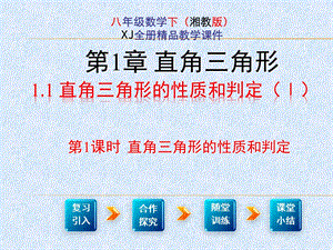 年春湘教版八年级数学(下)第一章直角三角形优质教学课件.pptx