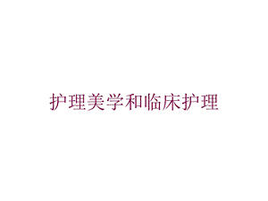 护理美学和临床护理培训课件.ppt