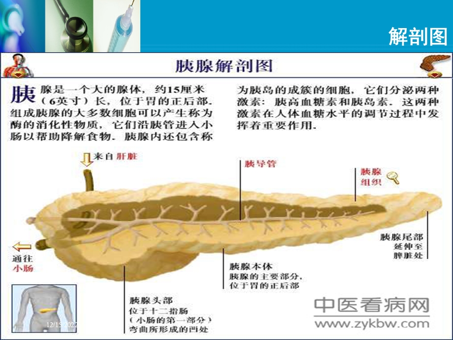 急性胰腺炎教学查房讲解培训课件.ppt_第2页