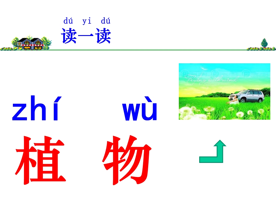 教科版小学科学一年级上册《我们知道的植物》课件.ppt_第3页