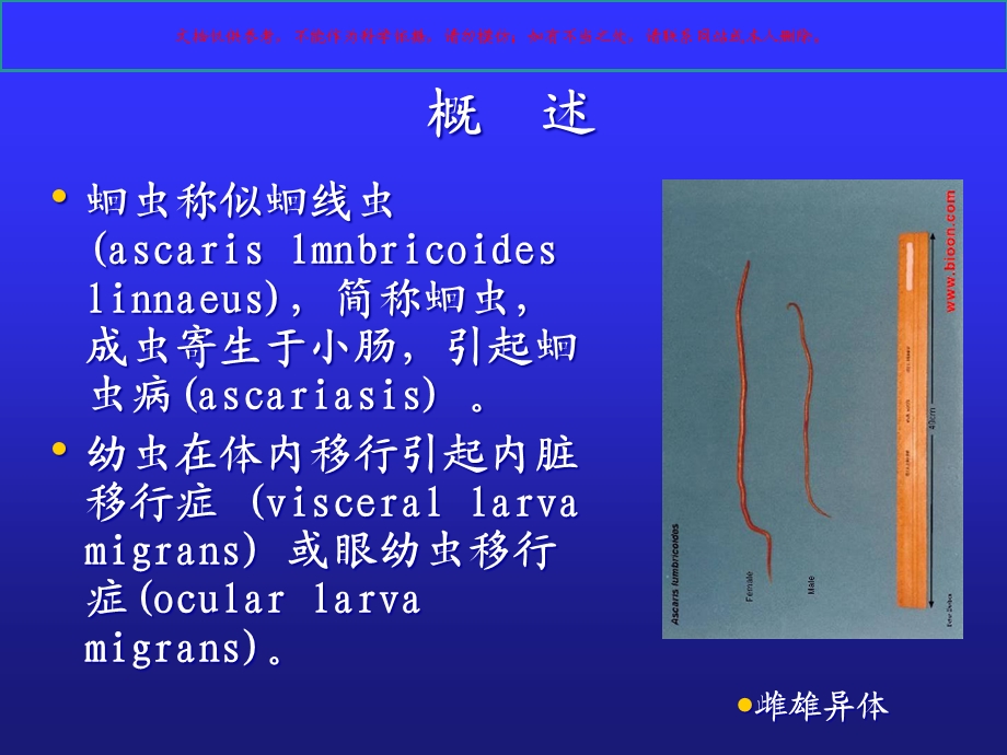 寄生虫病肠虫病培训课件.ppt_第2页