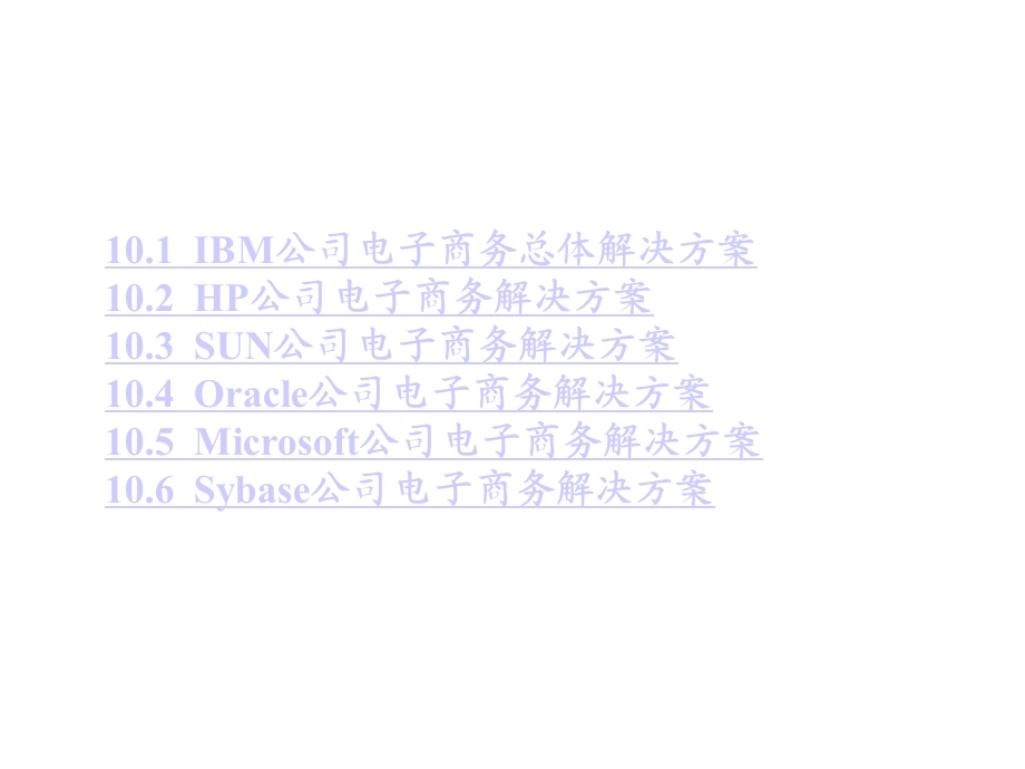 电子商务解决方案课件.ppt_第2页