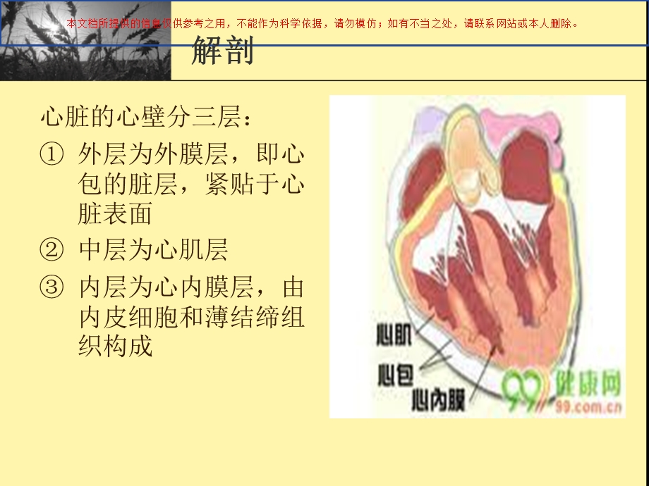 感染性心内膜炎讲解培训课件.ppt_第2页