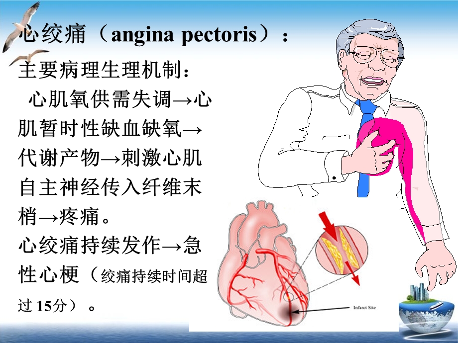 抗心绞痛药示范课件.ppt_第3页