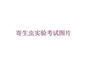 寄生虫实验考试图片培训课件.ppt