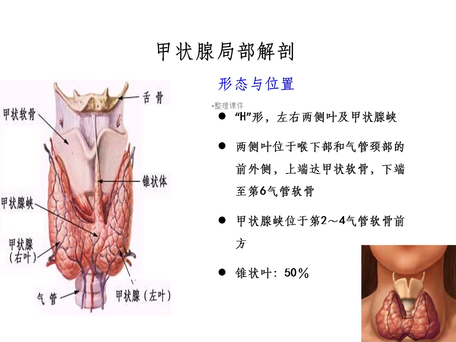 甲状腺部分切除术手术配合课件.ppt_第2页