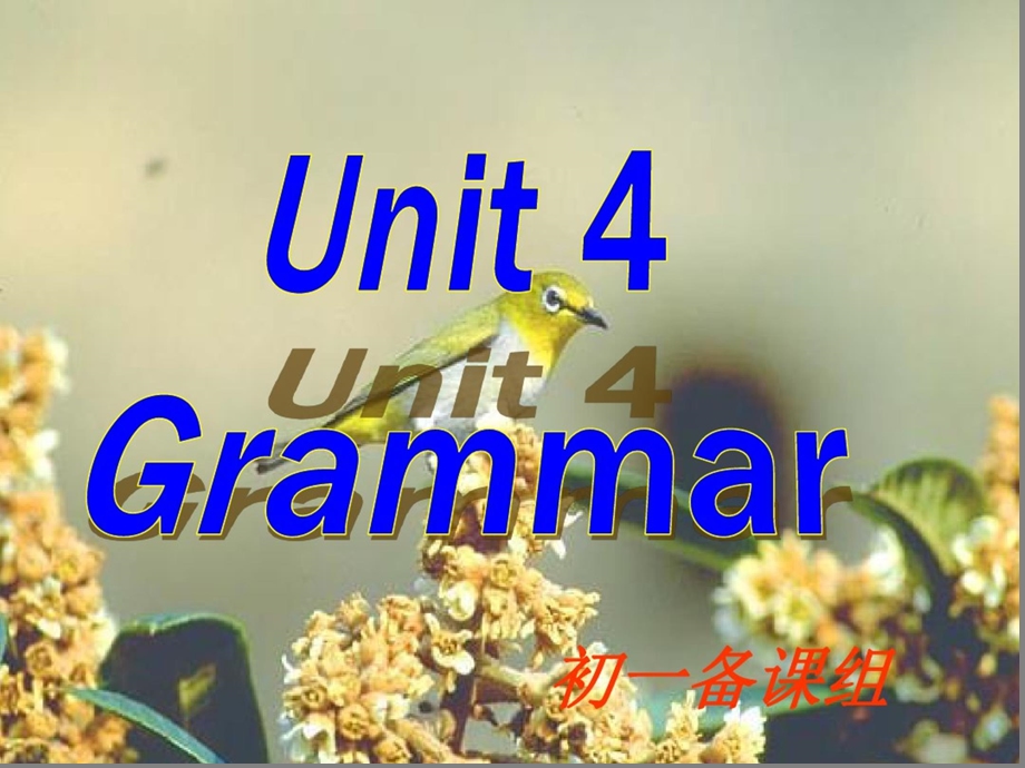 牛津译林版7AUnit4MydayGrammar课件.ppt_第1页