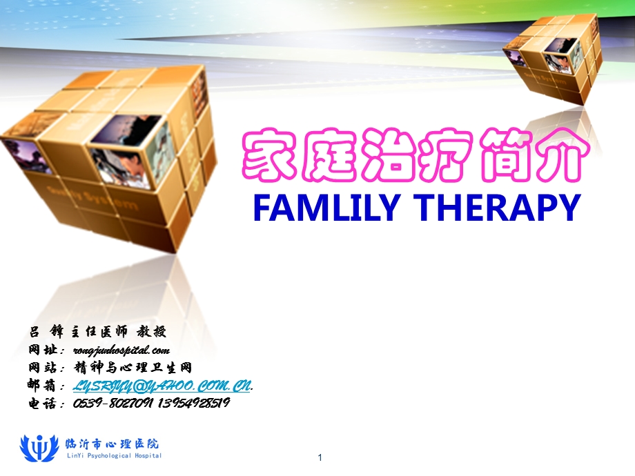 家庭治疗概述ppt课件.ppt_第1页