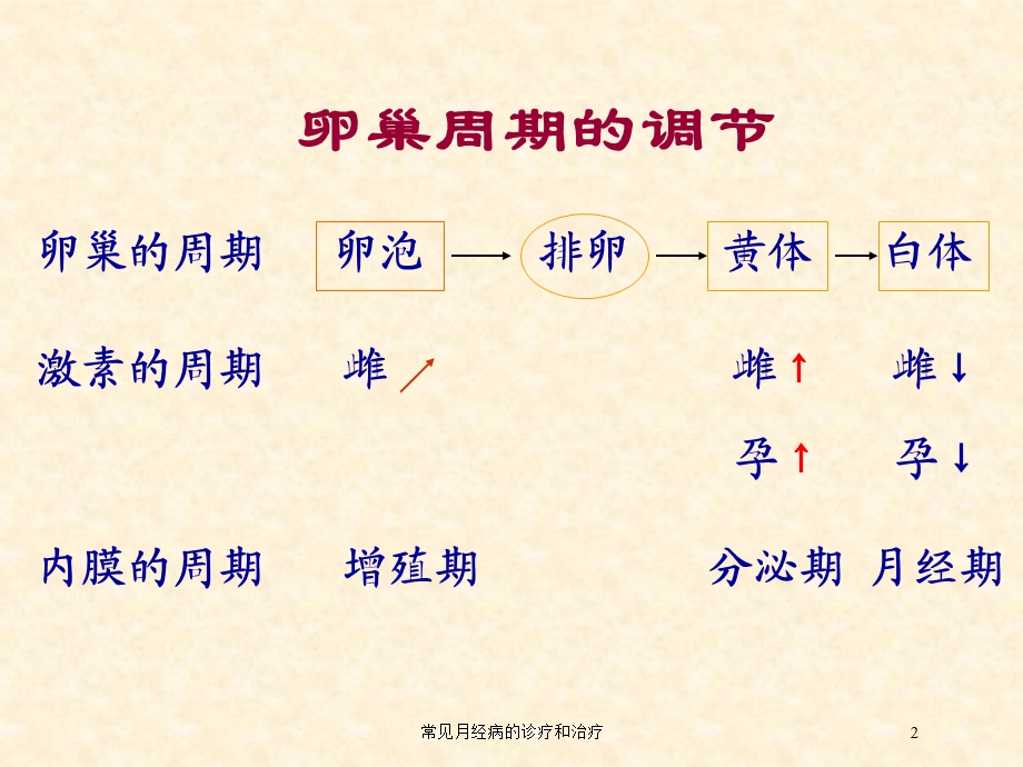 常见月经病的诊疗和治疗培训课件.ppt_第2页