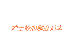 护士核心制度范本培训课件.ppt