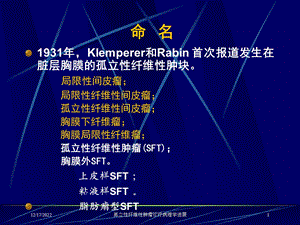 孤立性纤维性肿瘤诊疗病理学进展课件.ppt