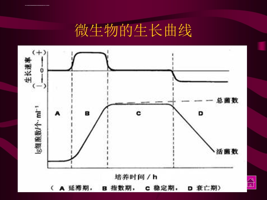 微生物的生长曲线ppt课件.ppt_第3页