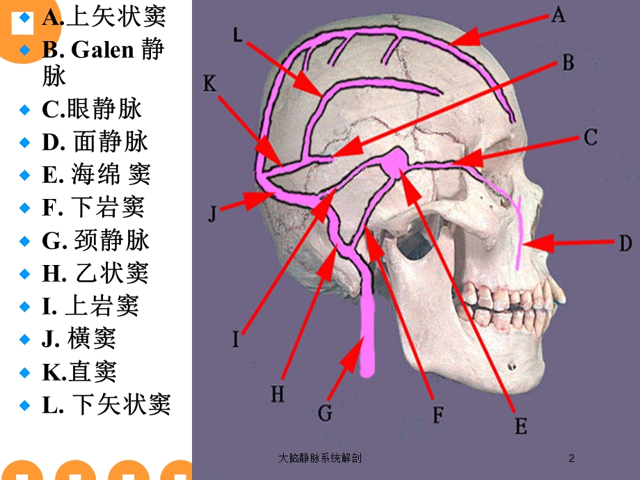 大脑静脉系统解剖培训课件.ppt_第2页