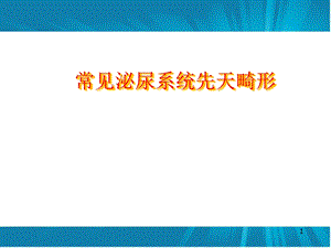 常见泌尿系统先天畸形医学课件.ppt