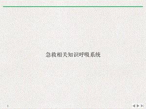急救相关知识呼吸系统标准课件.ppt