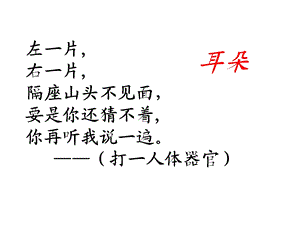 教科版四年级科学上册课件：7保护我们的听力.ppt