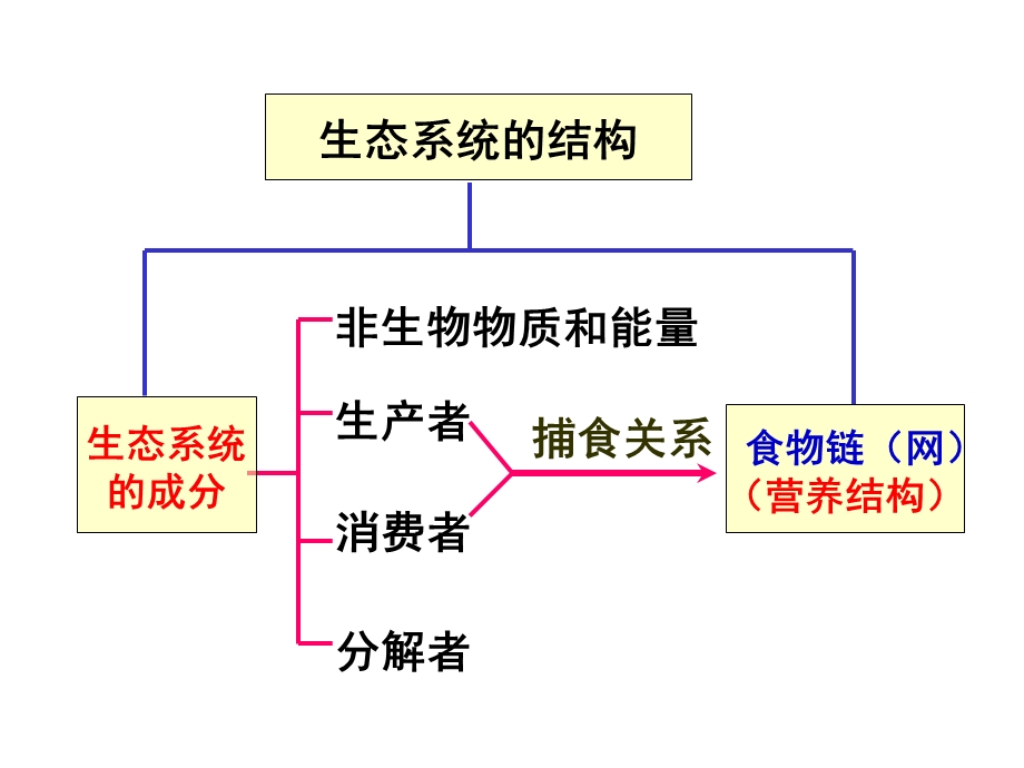 汉水丑生 生态系统的能量流动(非常好) 课件.ppt_第1页