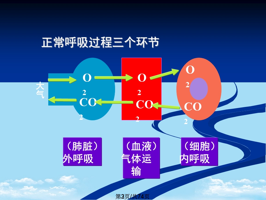 急性呼吸衰竭课件全面版.pptx_第3页