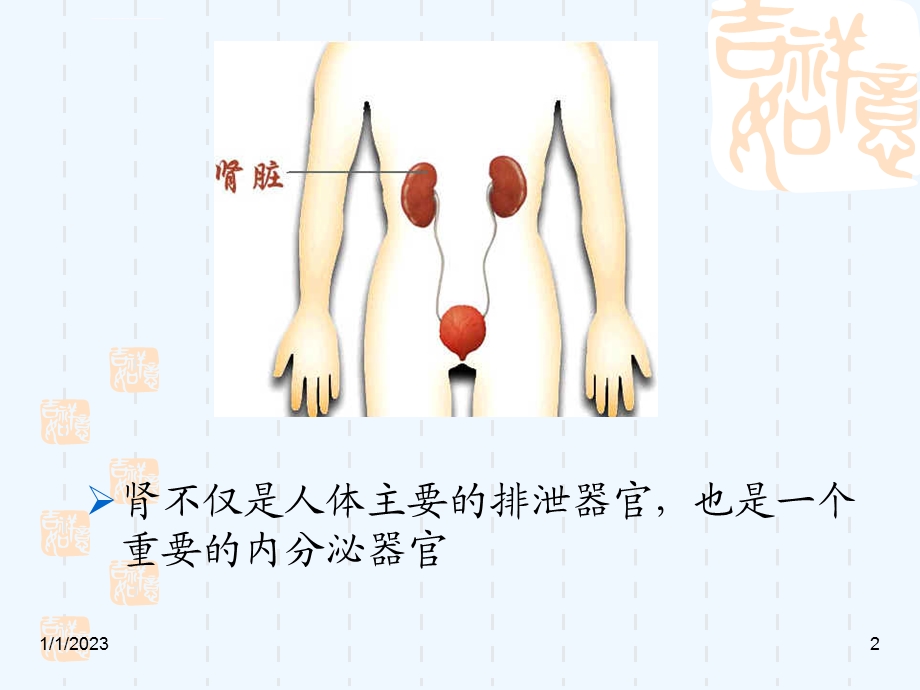 慢性肾小球肾炎(教学)ppt课件.ppt_第2页