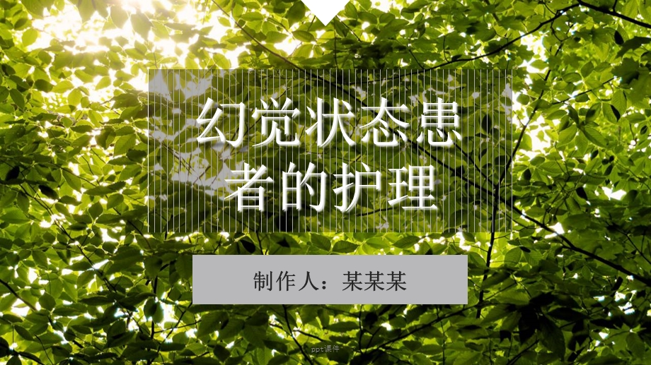 幻觉状态患者的护理课件.ppt_第1页