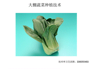 大棚蔬菜种植技术精选课件.ppt