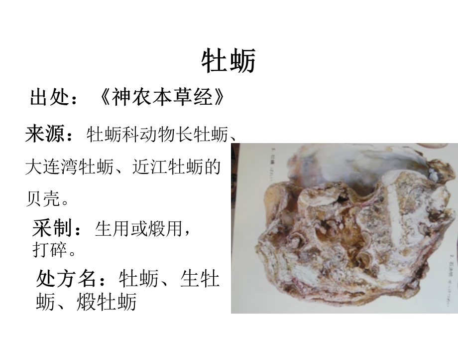 平肝息风药中药基础知识课件.pptx_第2页