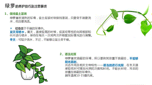 常见绿植养护方法ppt课件.ppt