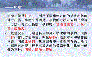 小学常见的修辞手法及用法及练习ppt课件.ppt