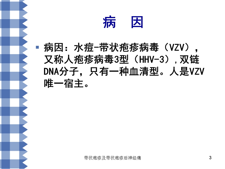 带状疱疹及带状疱疹后神经痛培训课件.ppt_第3页