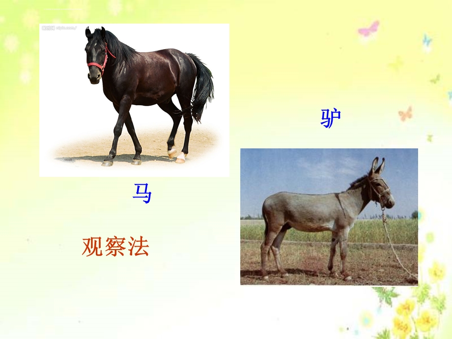 巴斯德肉汤变质实验ppt课件.ppt_第3页