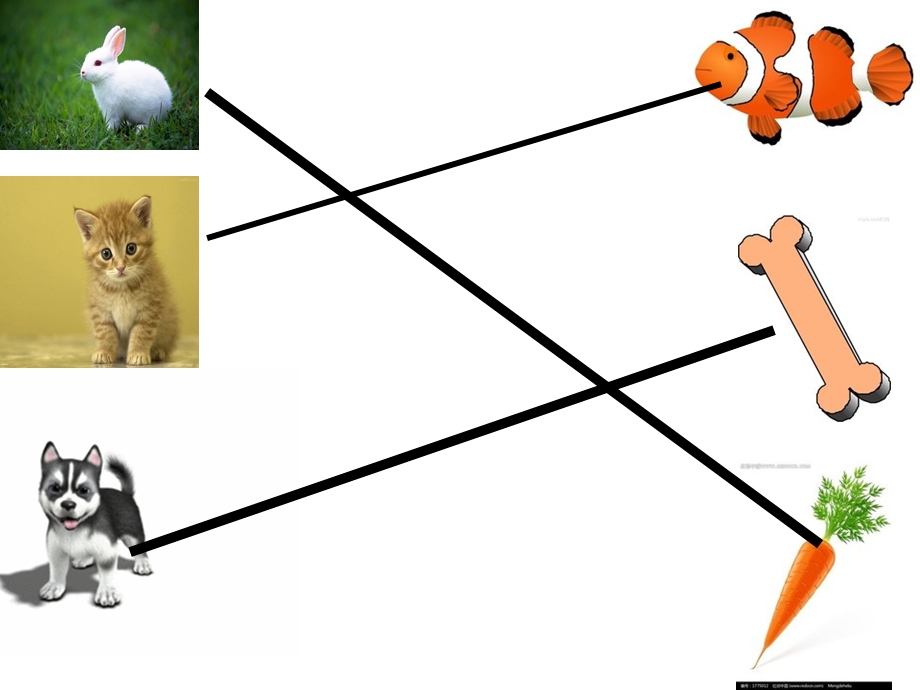 小班数学配对ppt课件.ppt_第3页