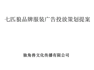 广告投放策划提案精选课件.ppt