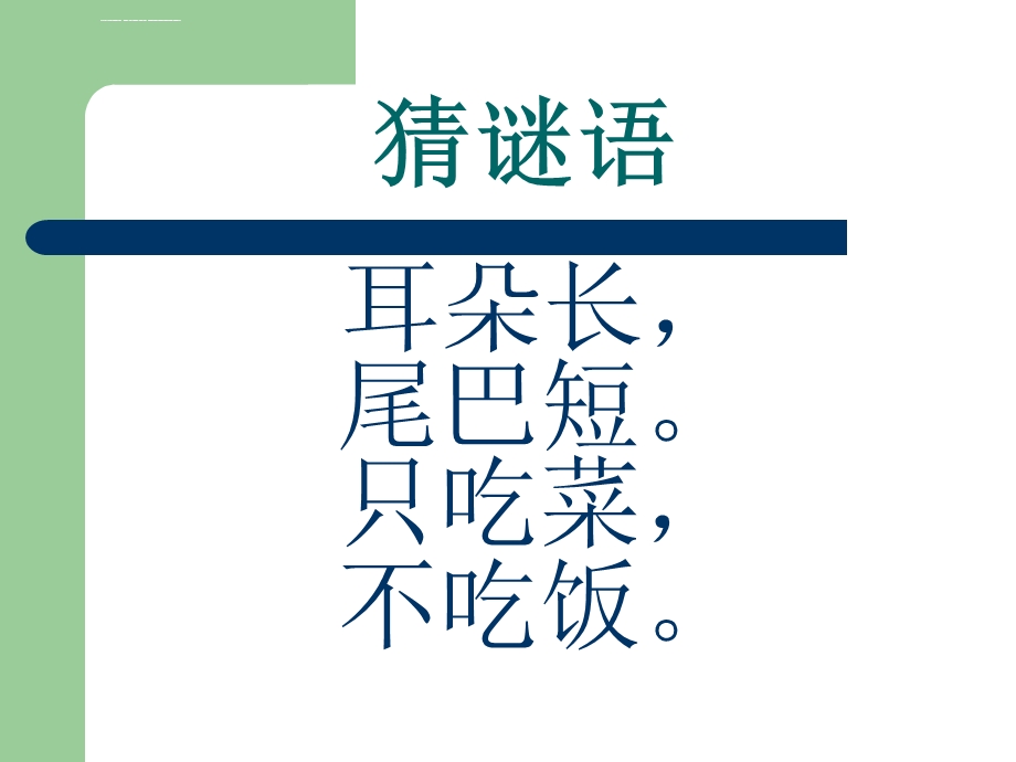 我们的动物朋友ppt课件.ppt_第2页