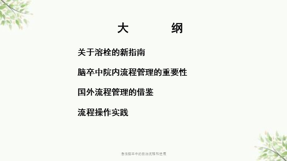 急性脑卒中的救治流程和进展课件.ppt_第2页