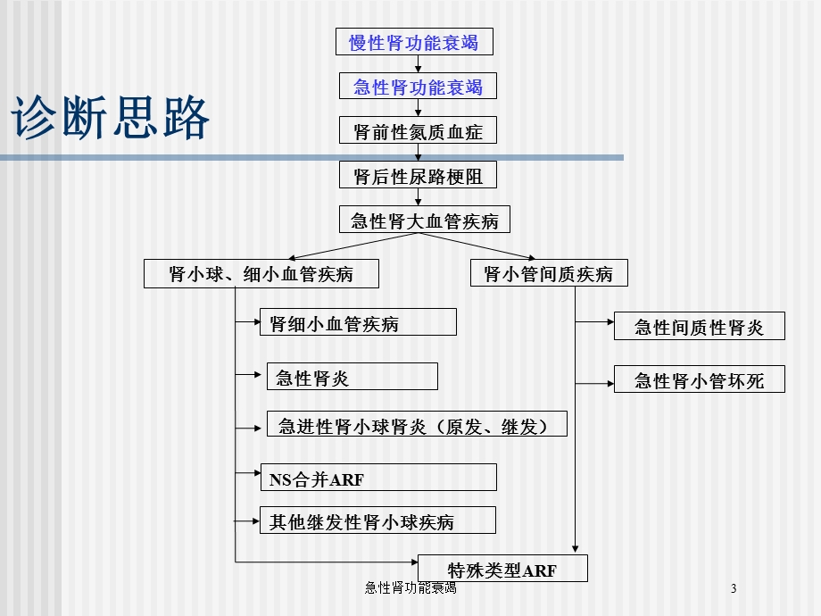 急性肾功能衰竭培训课件.ppt_第3页