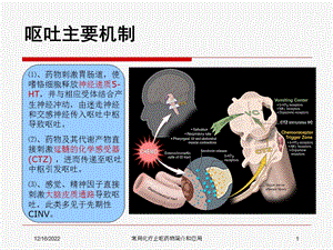 常用化疗止呕药物简介和应用课件.ppt