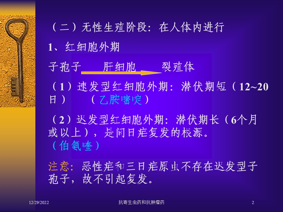 抗寄生虫药和抗肿瘤药培训课件.ppt_第2页