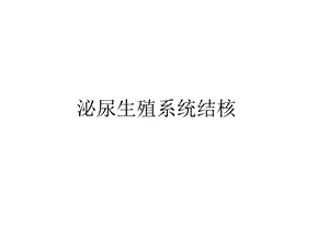 泌尿生殖系统结核课件.ppt