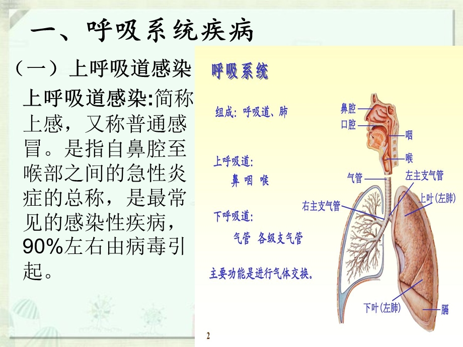 幼儿卫生学——第三章第一节预防常见病ppt课件.ppt_第2页