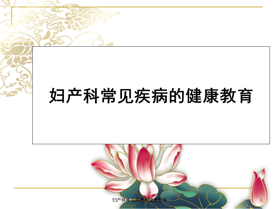 妇产科常见疾病的健康教育课件.ppt_第1页