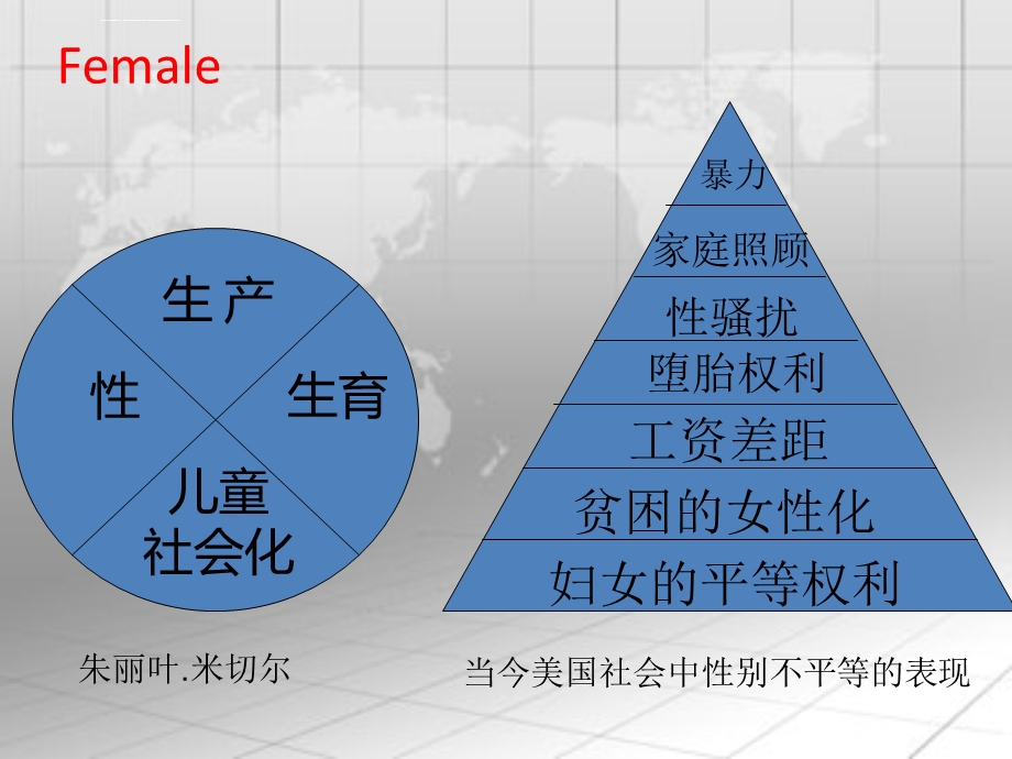 对社会福利的挑战：种族歧视和性别歧视ppt课件.ppt_第3页