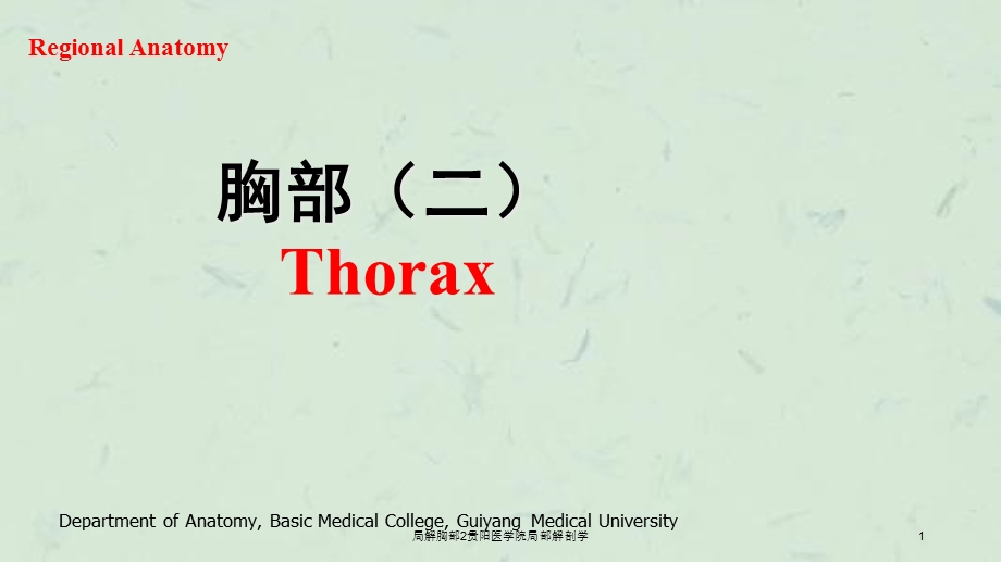 局解胸部2贵阳医学院局部解剖学课件.ppt_第1页