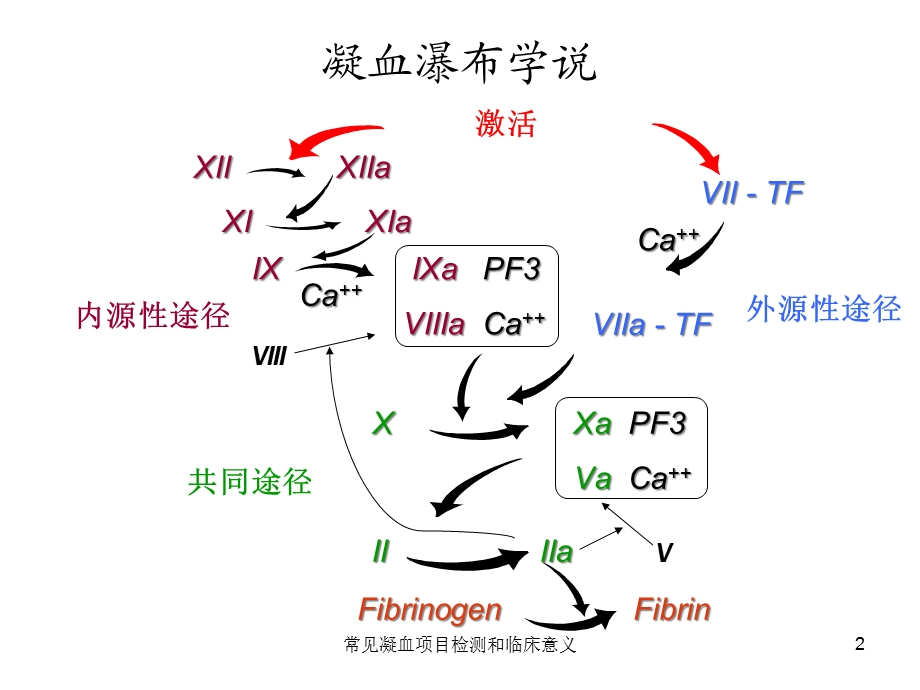 常见凝血项目检测和临床意义培训课件.ppt_第2页