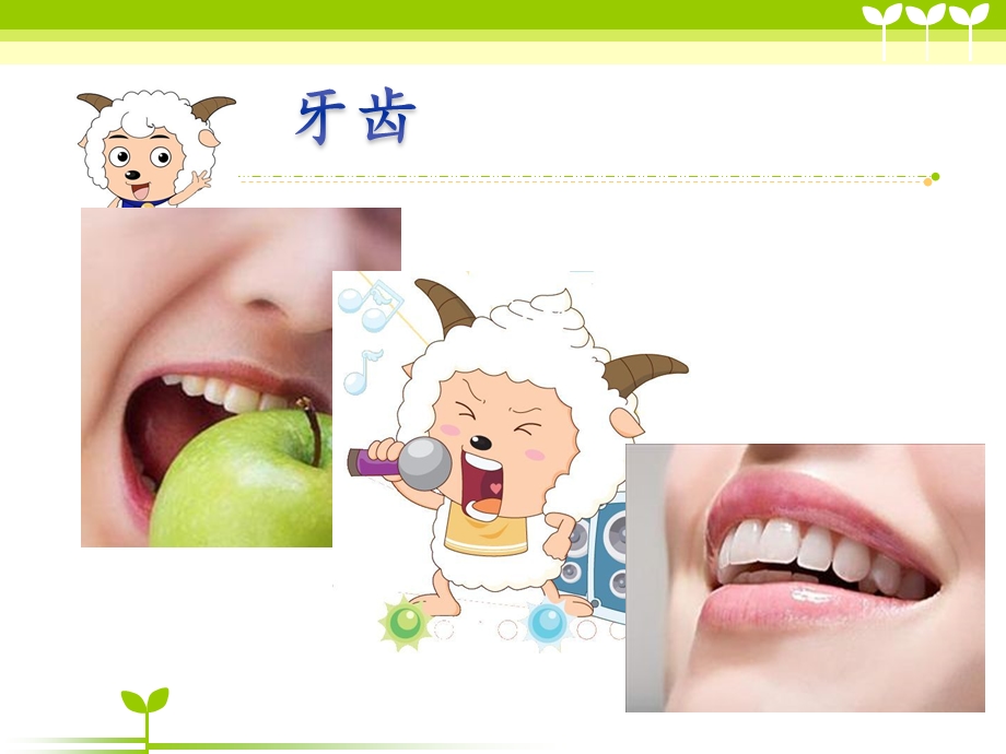 幼儿园健康知识讲座ppt课件.ppt_第2页